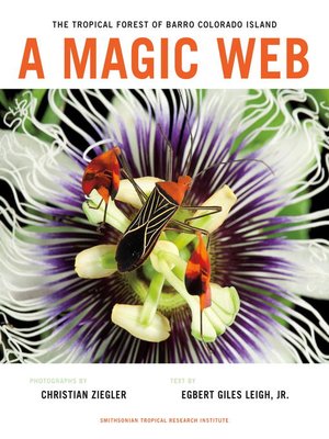 cover image of A Magic Web